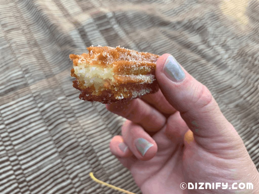 Gluten Free Churro made from Disney recipe