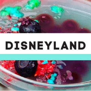 Disneyland Park Copycat Recipes