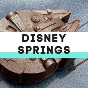 Disney Springs Copycat Recipes