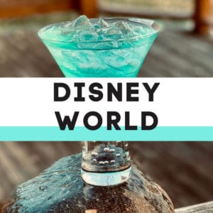 Disney World Copycat Recipes