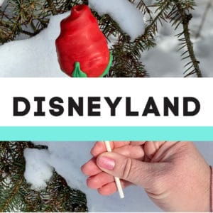 Disneyland Copycat Recipes