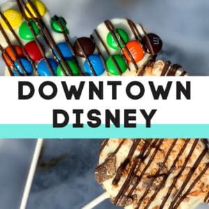 Downtown Disney Copycat Recipes