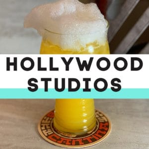 Hollywood Studios Copycat Recipes