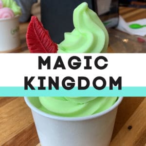 Magic Kingdom Copycat Recipes
